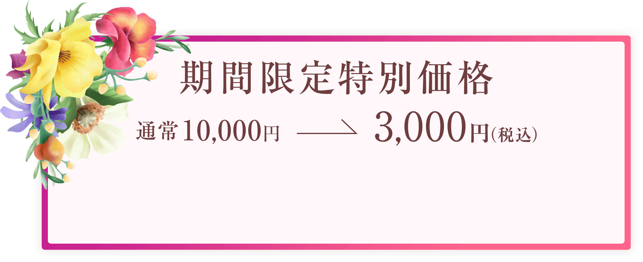 通常10,000円→期間限定特別価格3,000円（税込）
